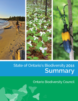 Cover page of SOBR Summary Report - photos: left, family walking on Lake Superior beach; centre, White Trilliums,; right, Elderberry Borer beetle