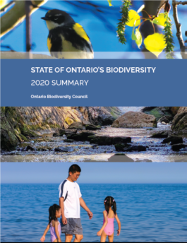 Cover of the State of Ontario's Biodiversity Summary Report for 2020