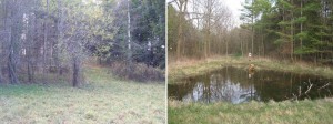 This is a photo of the Gully Creek wetland area prior to construction in November 2009 (left) and after construction in March 2012.