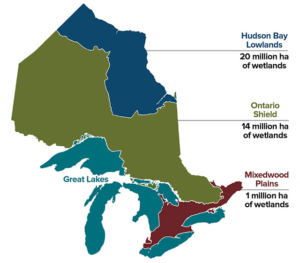 Ontario's ecozone and wetland coverage